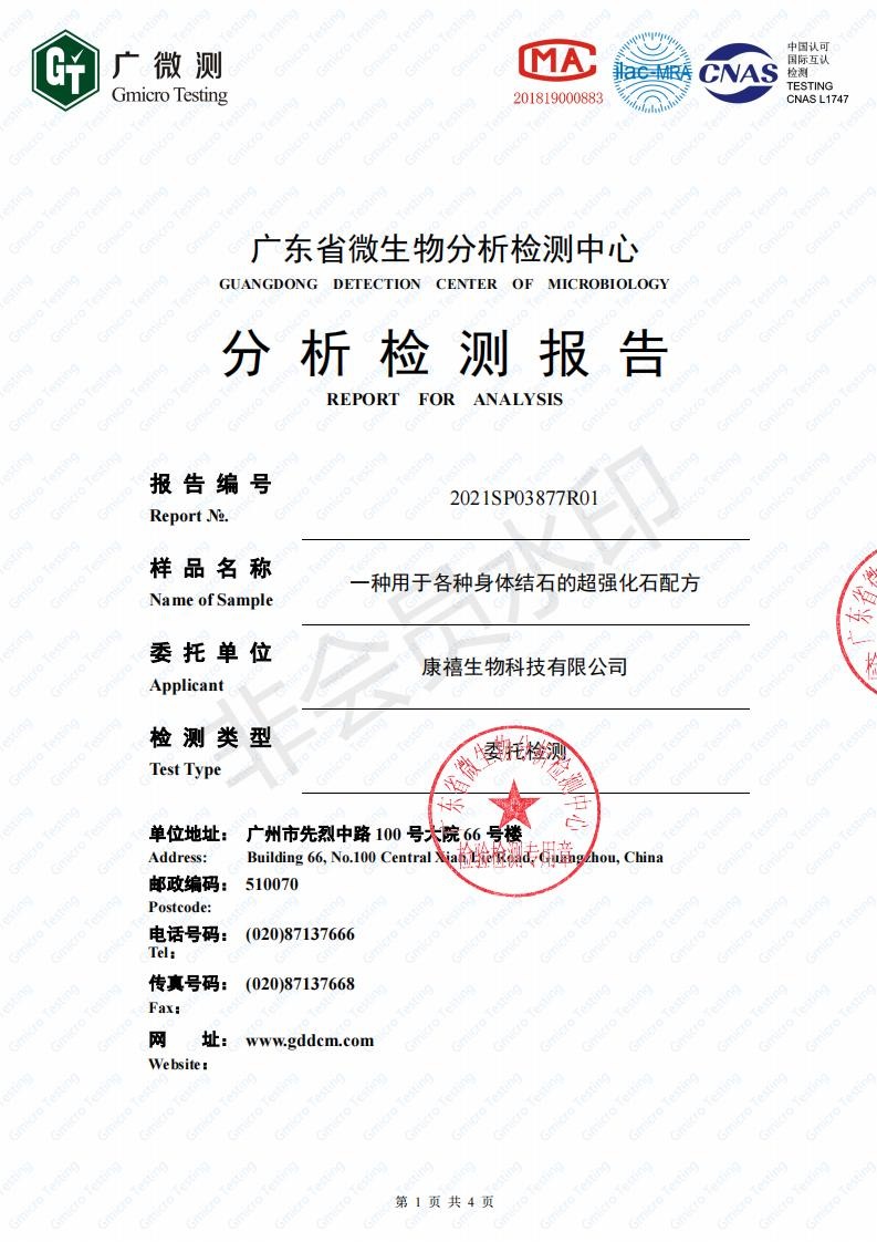 分析检测报告