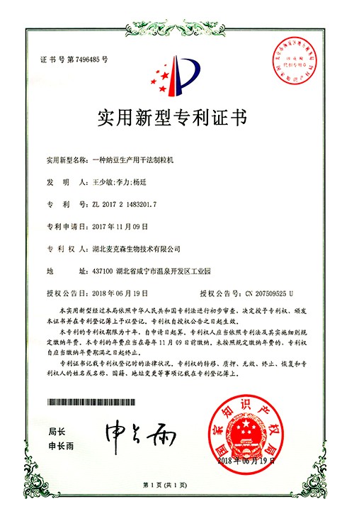 干法制粒机